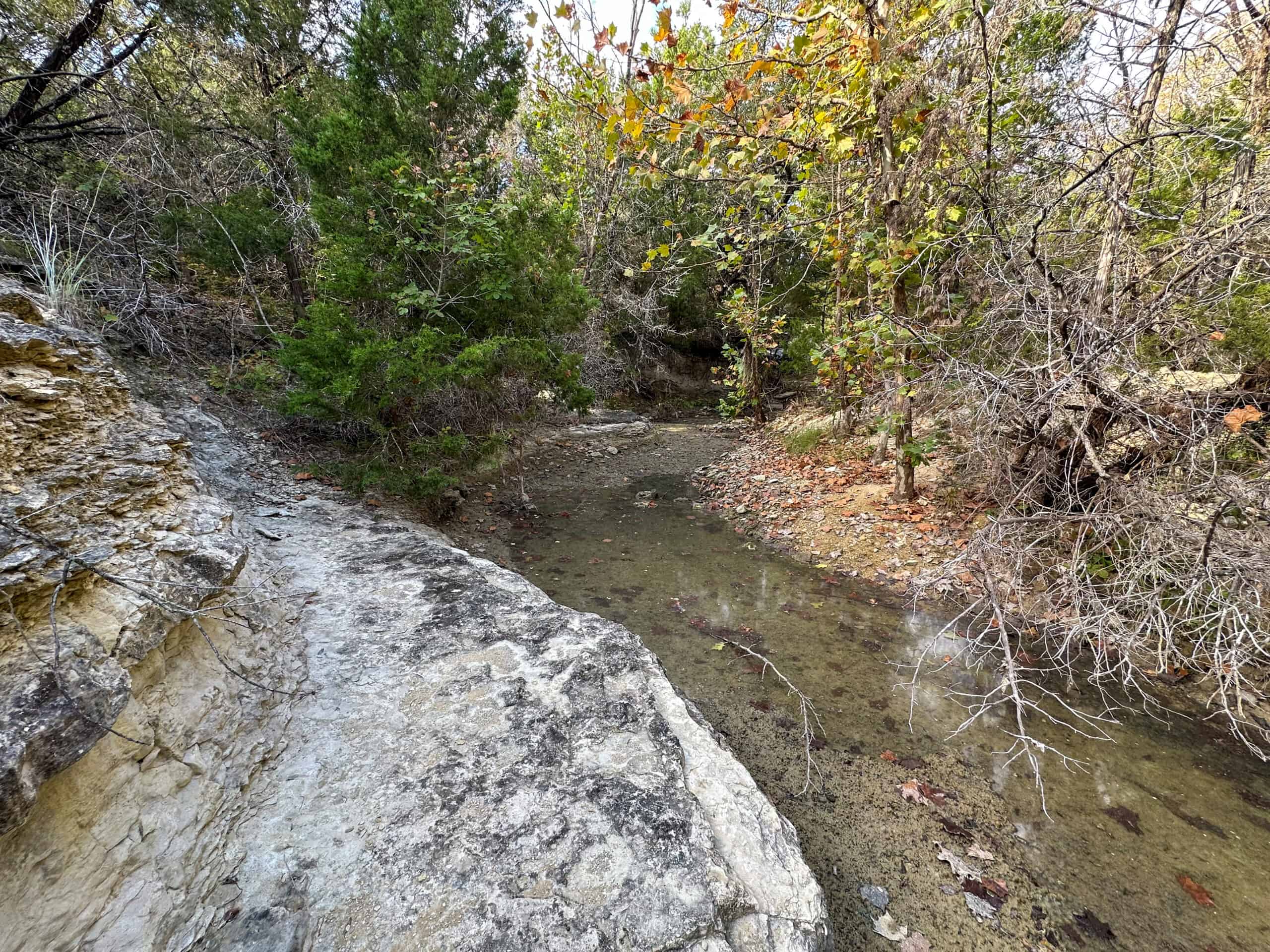 44.574 Acres of Central Texas Hunting Land for Sale