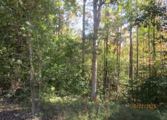 38 Acre Hunting Land for Sale in Southern VA