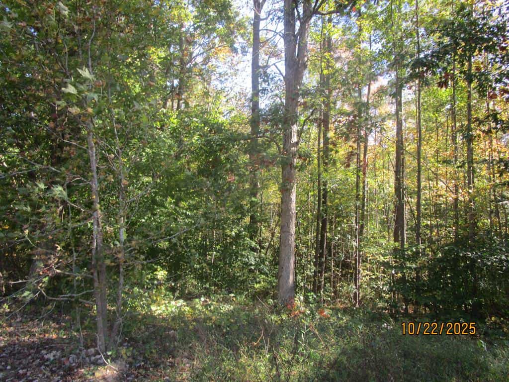 38 Acre Hunting Land for Sale in Southern VA