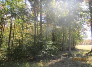 38 Acre Hunting Land for Sale in Southern VA