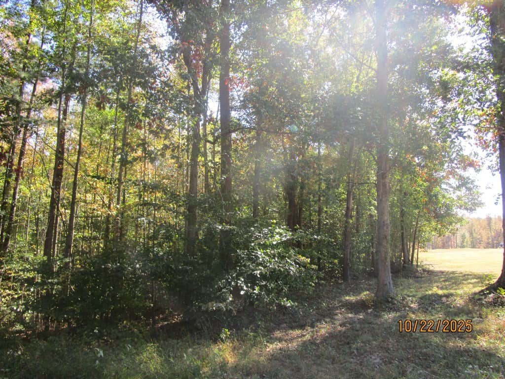 38 Acre Hunting Land for Sale in Southern VA