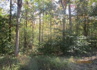 38 Acre Hunting Land for Sale in Southern VA
