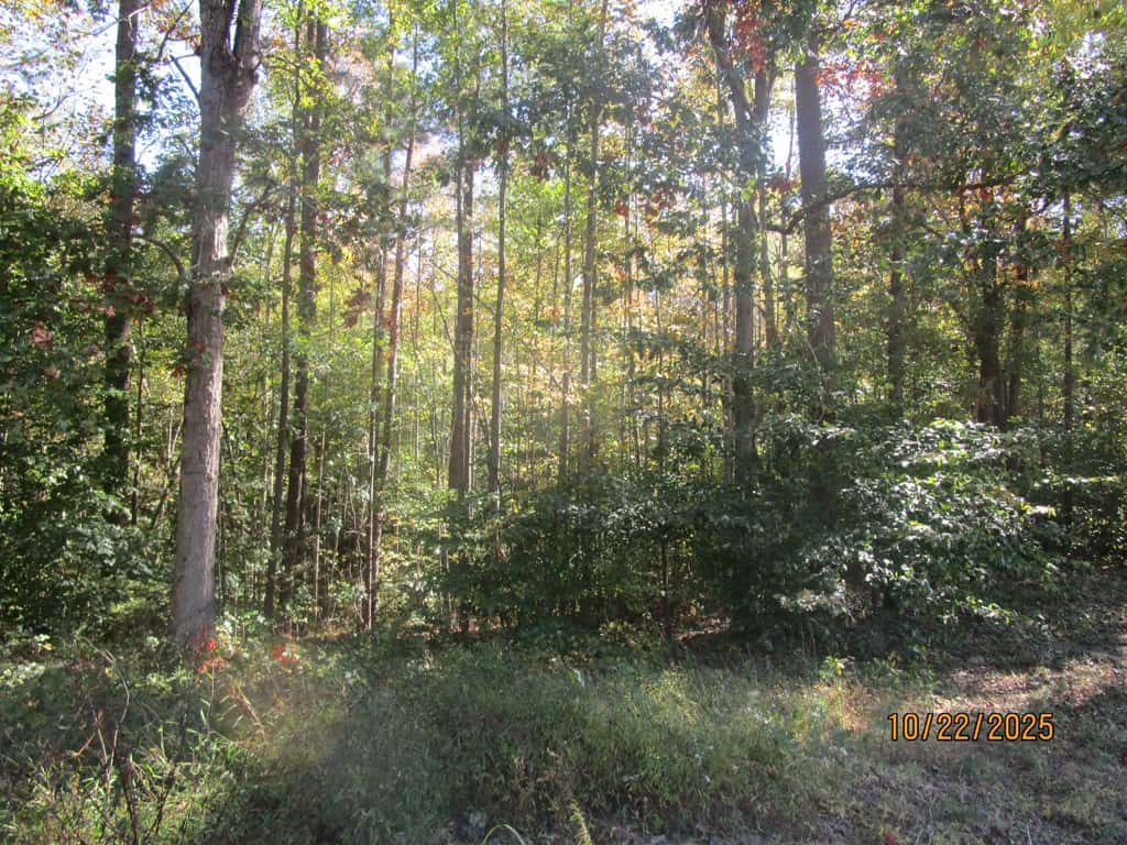 38 Acre Hunting Land for Sale in Southern VA