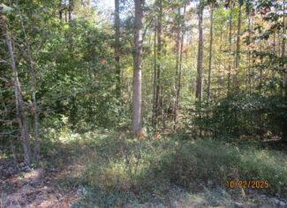 38 Acre Hunting Land for Sale in Southern VA