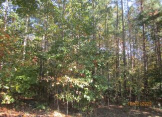 38 Acre Hunting Land for Sale in Southern VA
