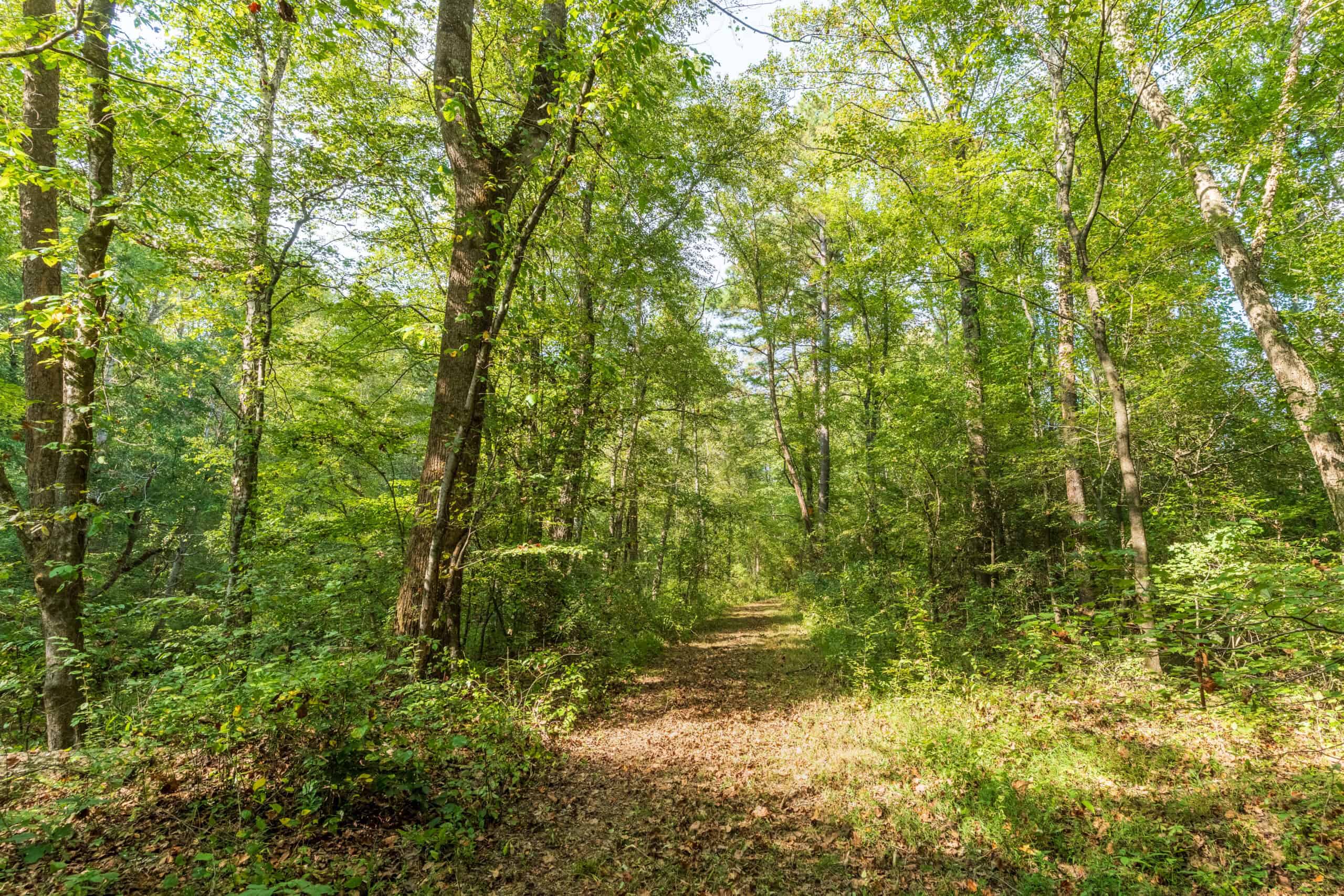 Premier Hunting & Recreation Property in Middleton, TN