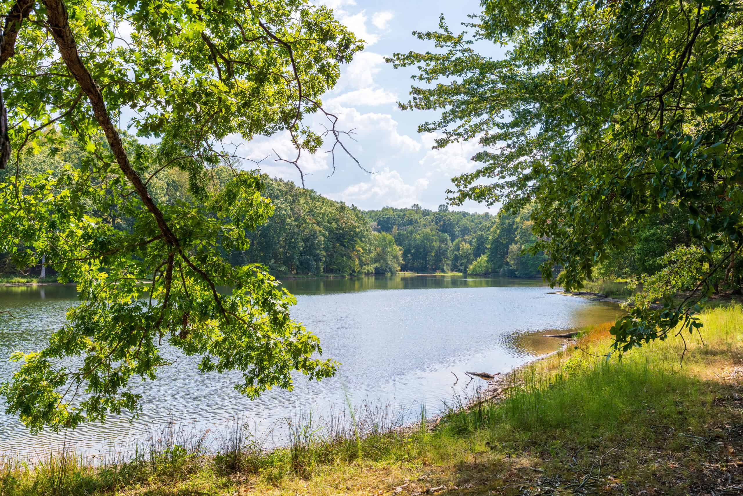 Premier Hunting & Recreation Property in Middleton, TN