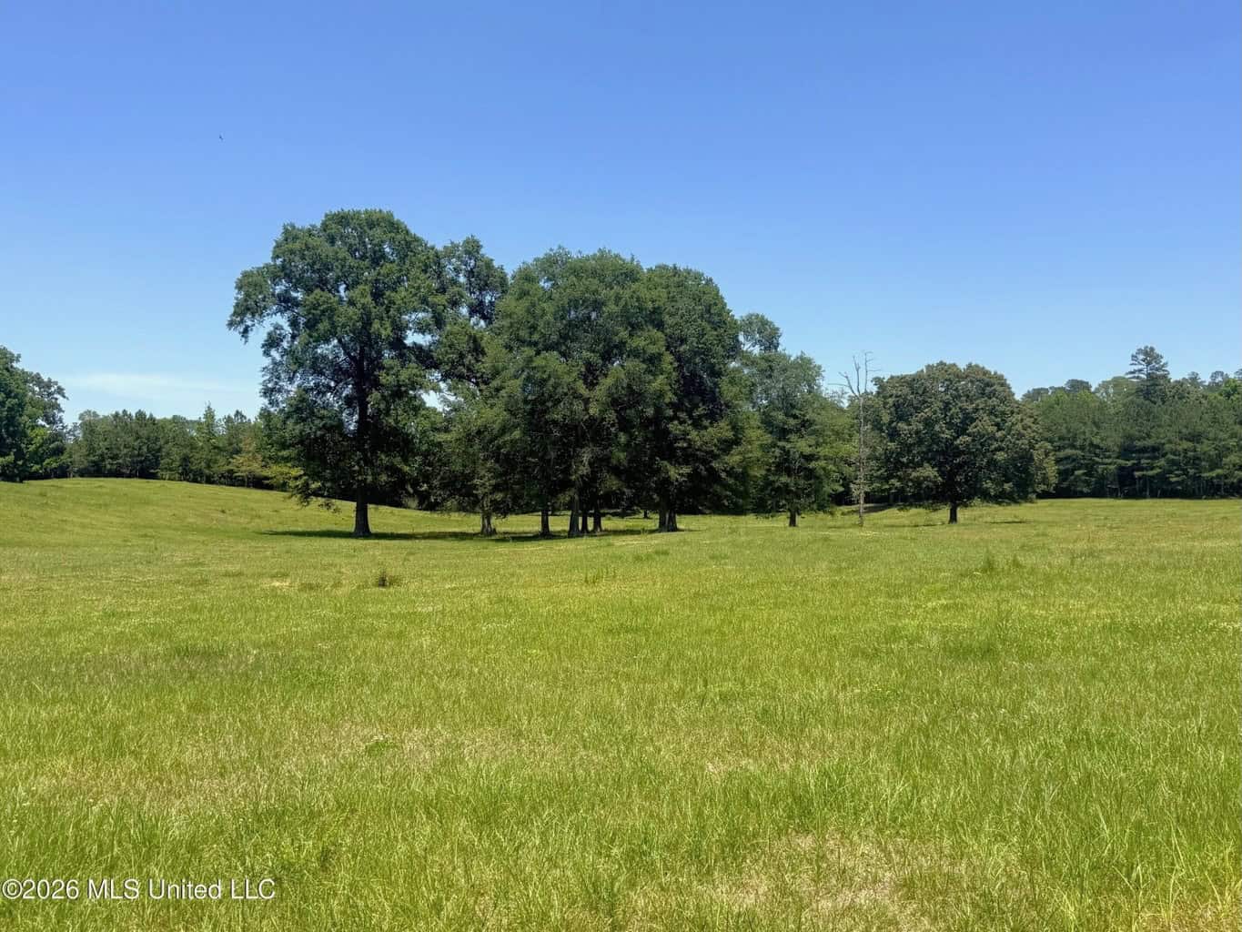 Rolling Hills Pastureland and Wooded land for sale