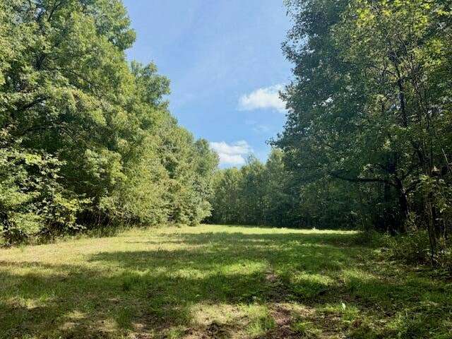 Mississippi Land For Sale With A Creek