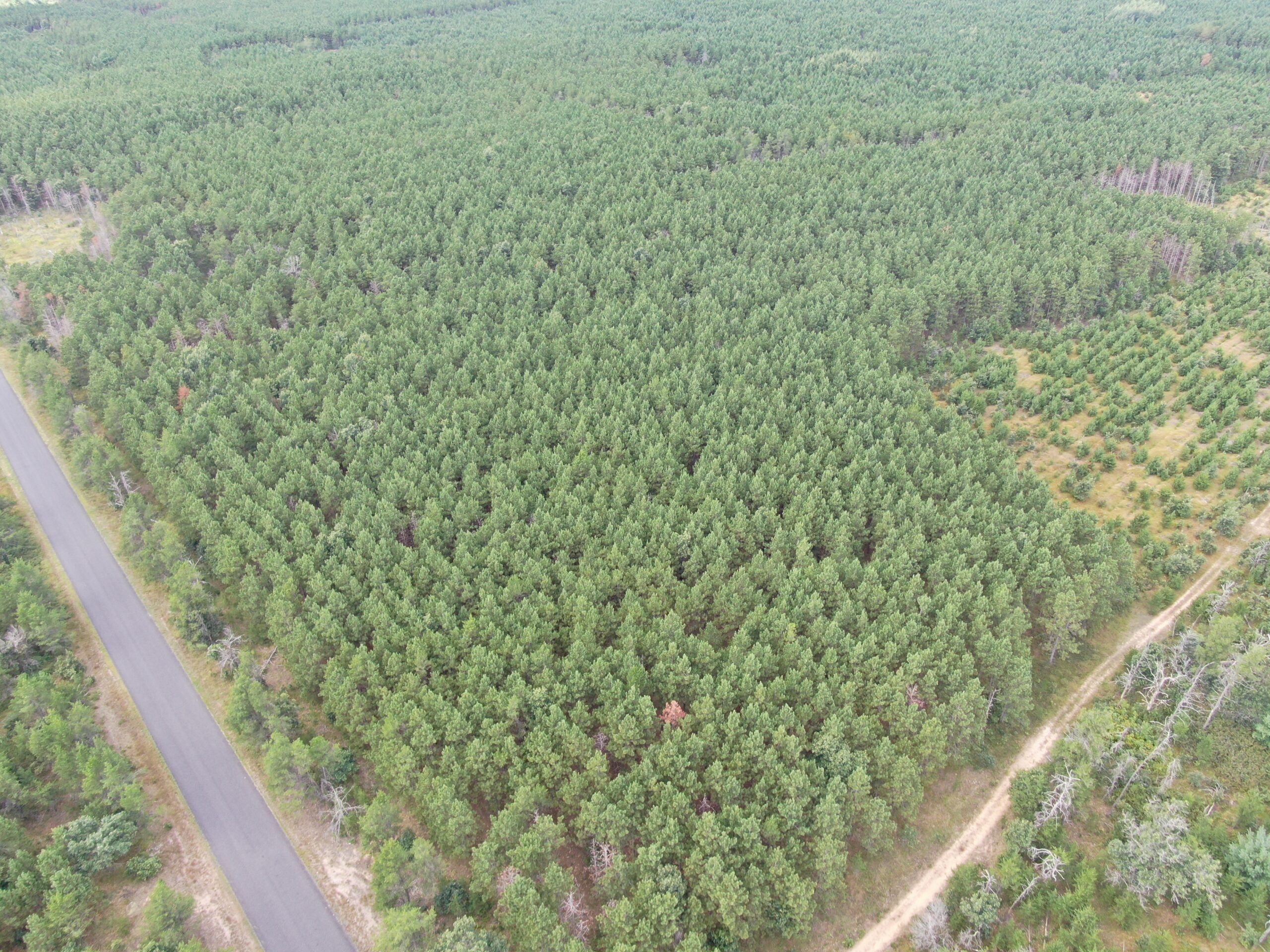 40-acre timber tract in Adams County