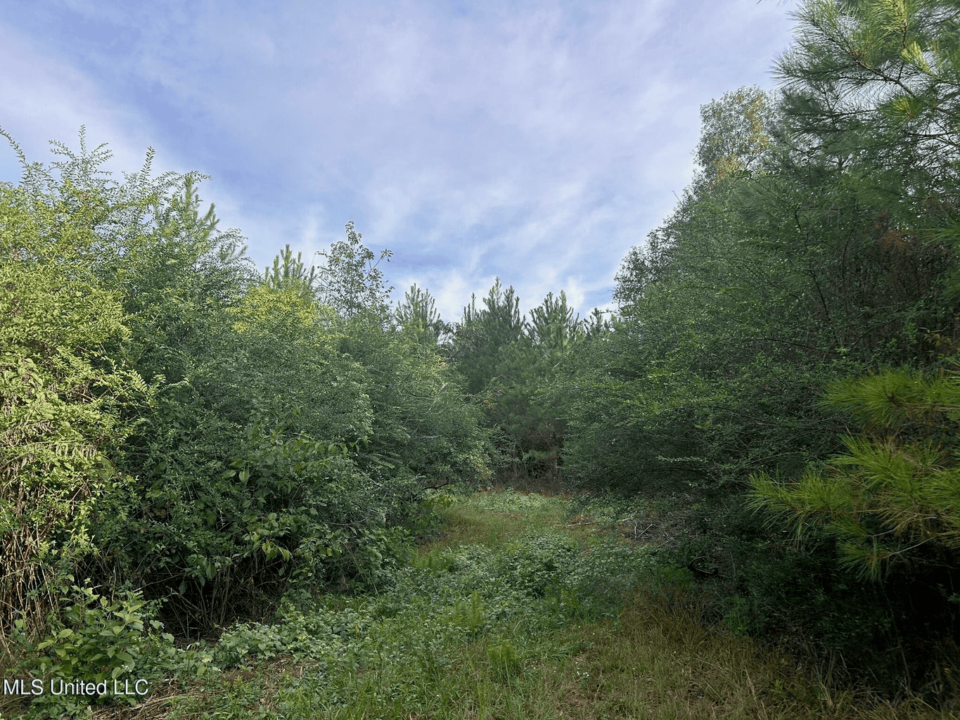 11.5+- Acres North Pike School District