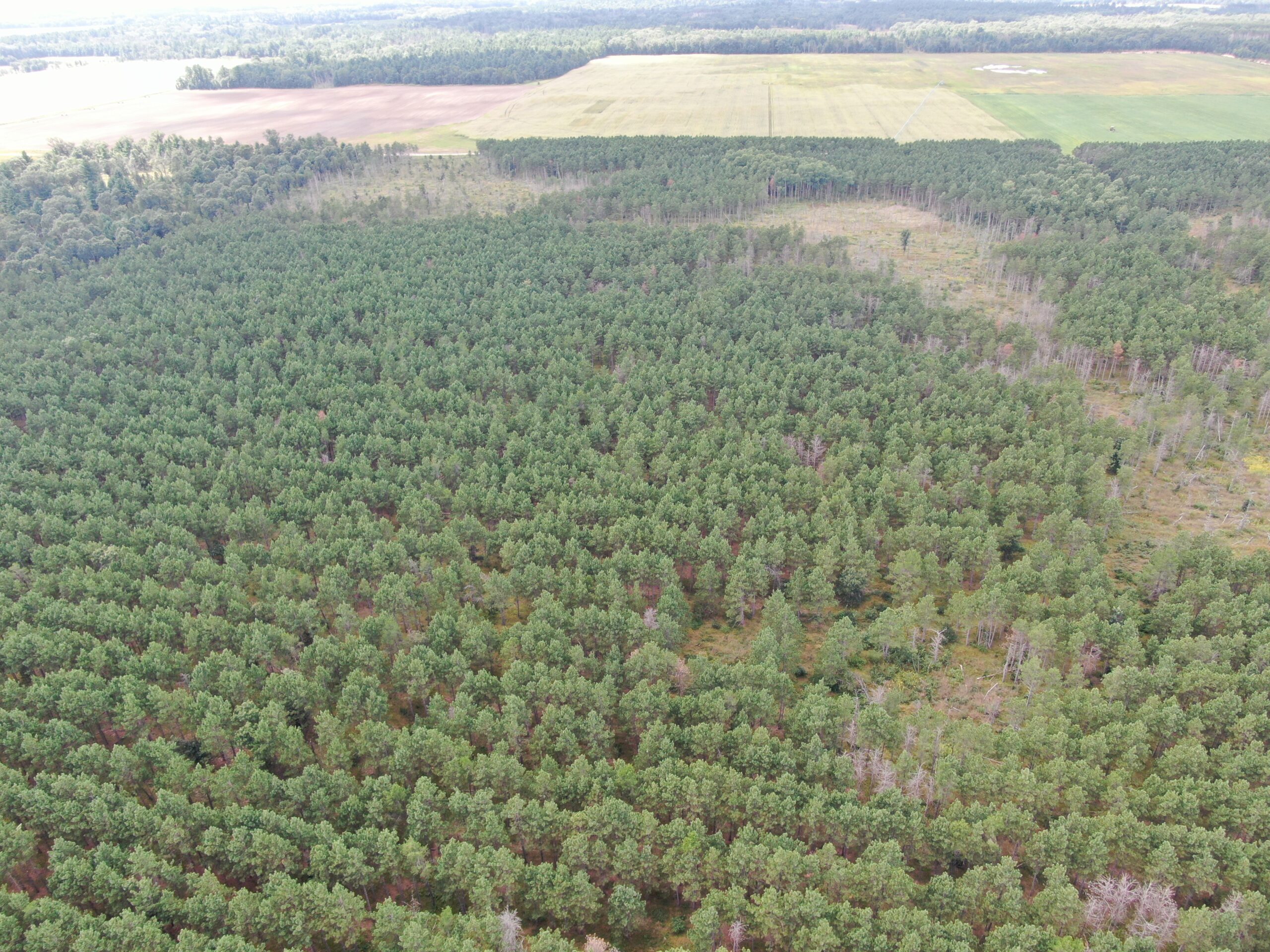 80-acre timber tract in Adams County