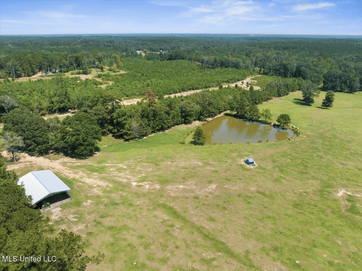 Rolling Hills Pastureland and Wooded land for sale