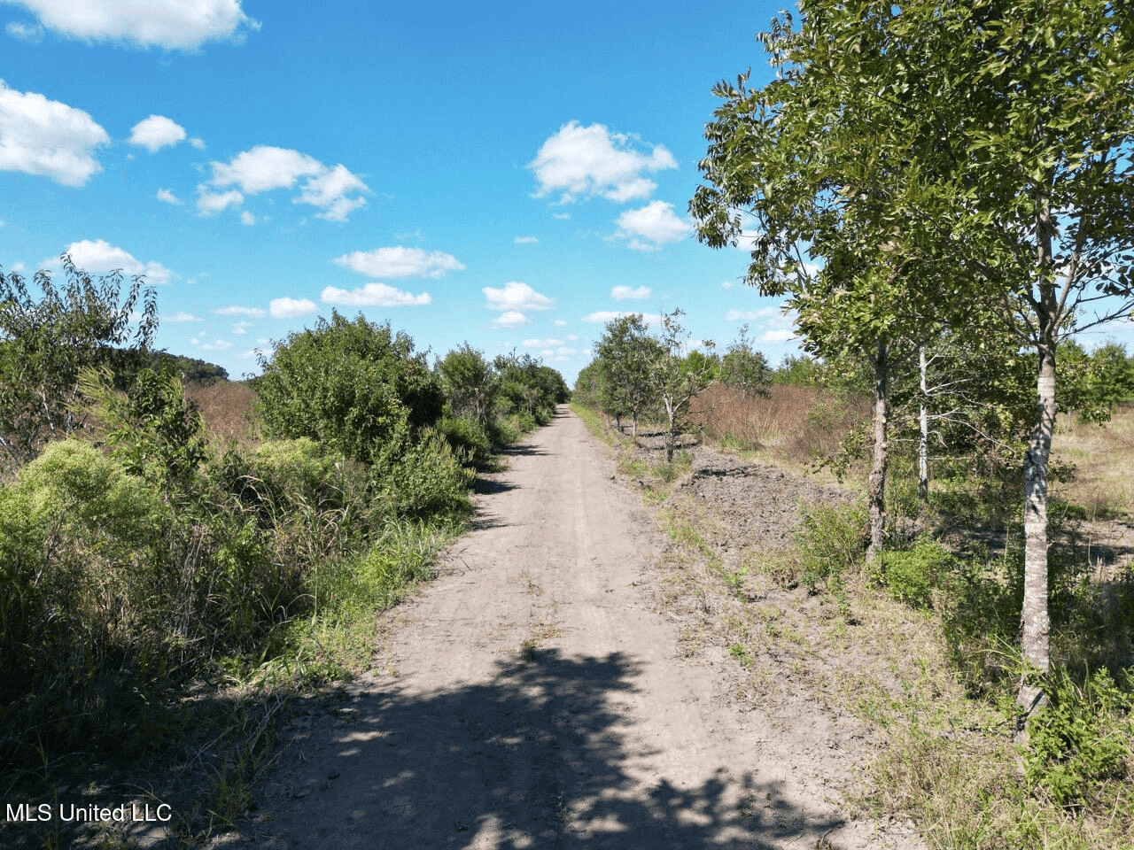 Tensas Parish Land Near Lake St. John – 80 Acres