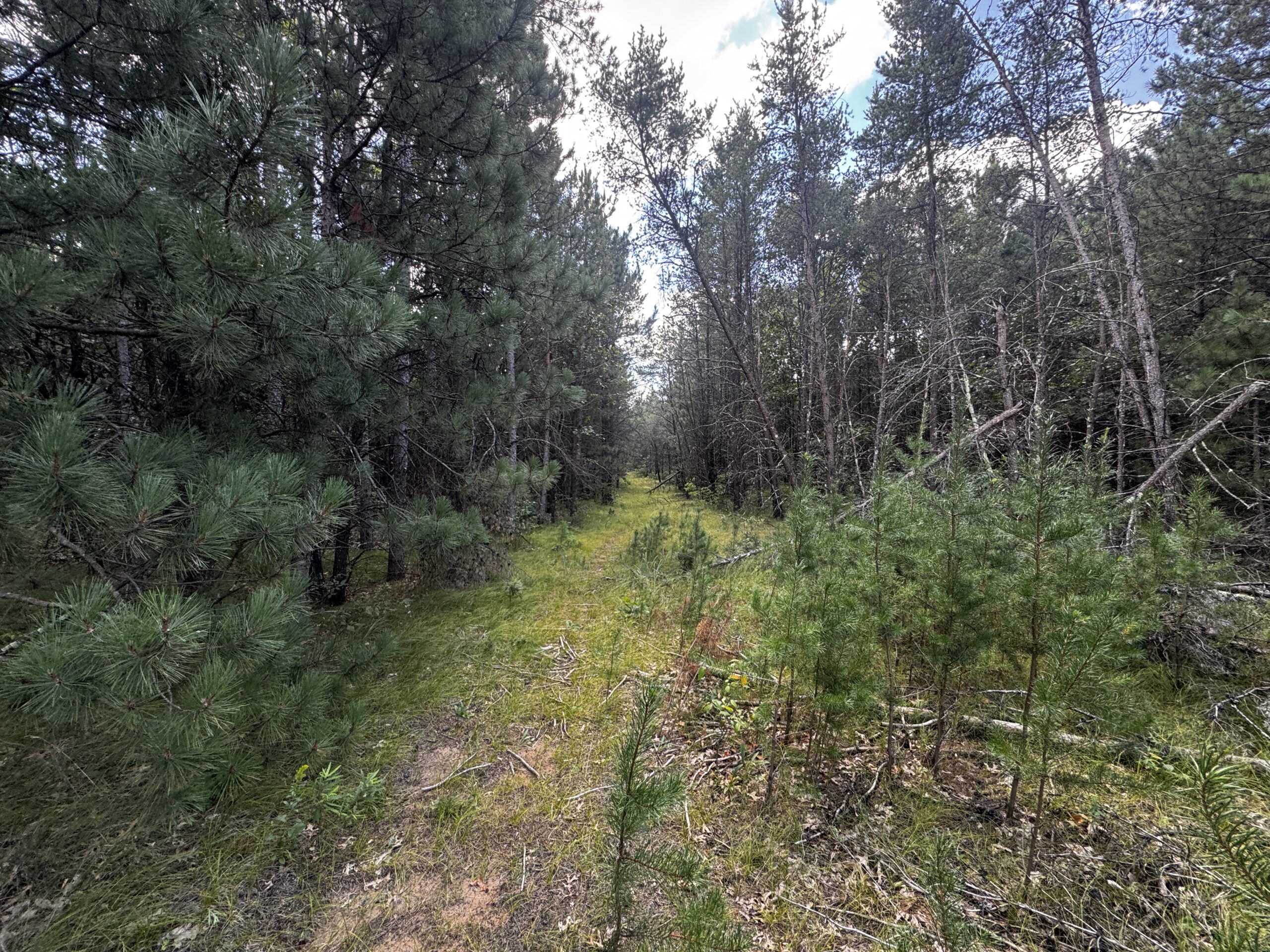 40-acre corner parcel in the Town of Big Flats, Adams County