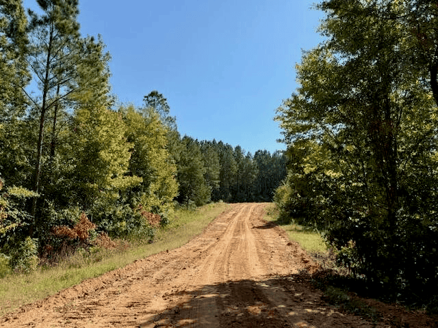 650 Acres Timberland and Lake Site Calhoun County MS