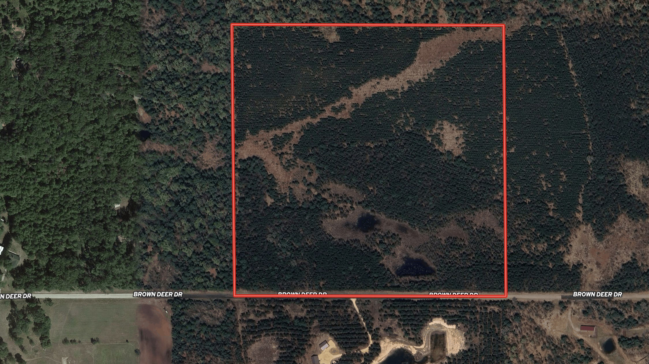 40-acre timber tract in the Town of Monroe, Adams County