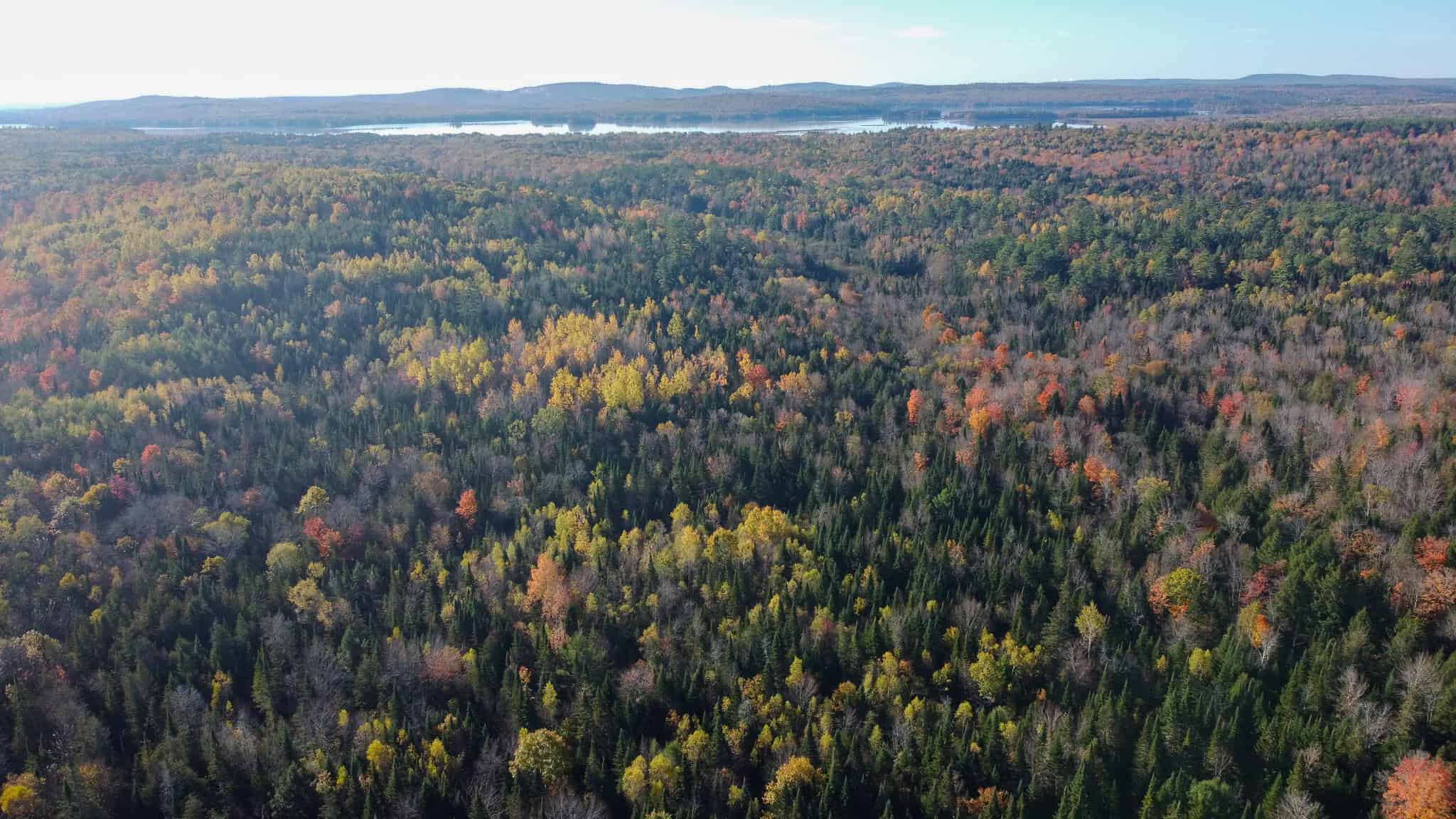 Off-Grid Maine Homestead with Dual Cabins, Solar Power & 49± Acres