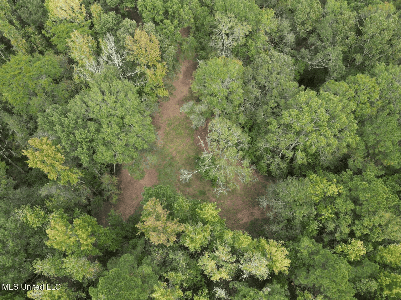 Hunting Land in Claiborne County, MS – The Sawmill 98