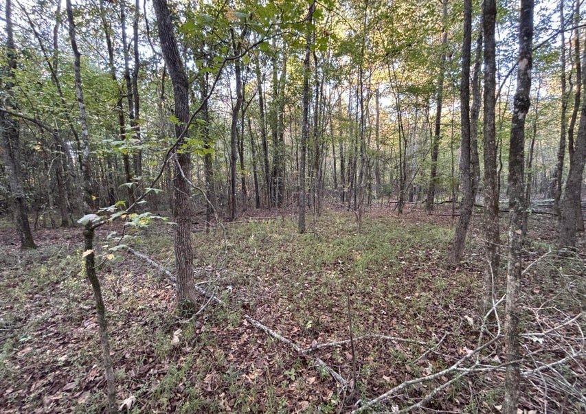 28 Acres for Sale South Jackson, Hinds County, MS