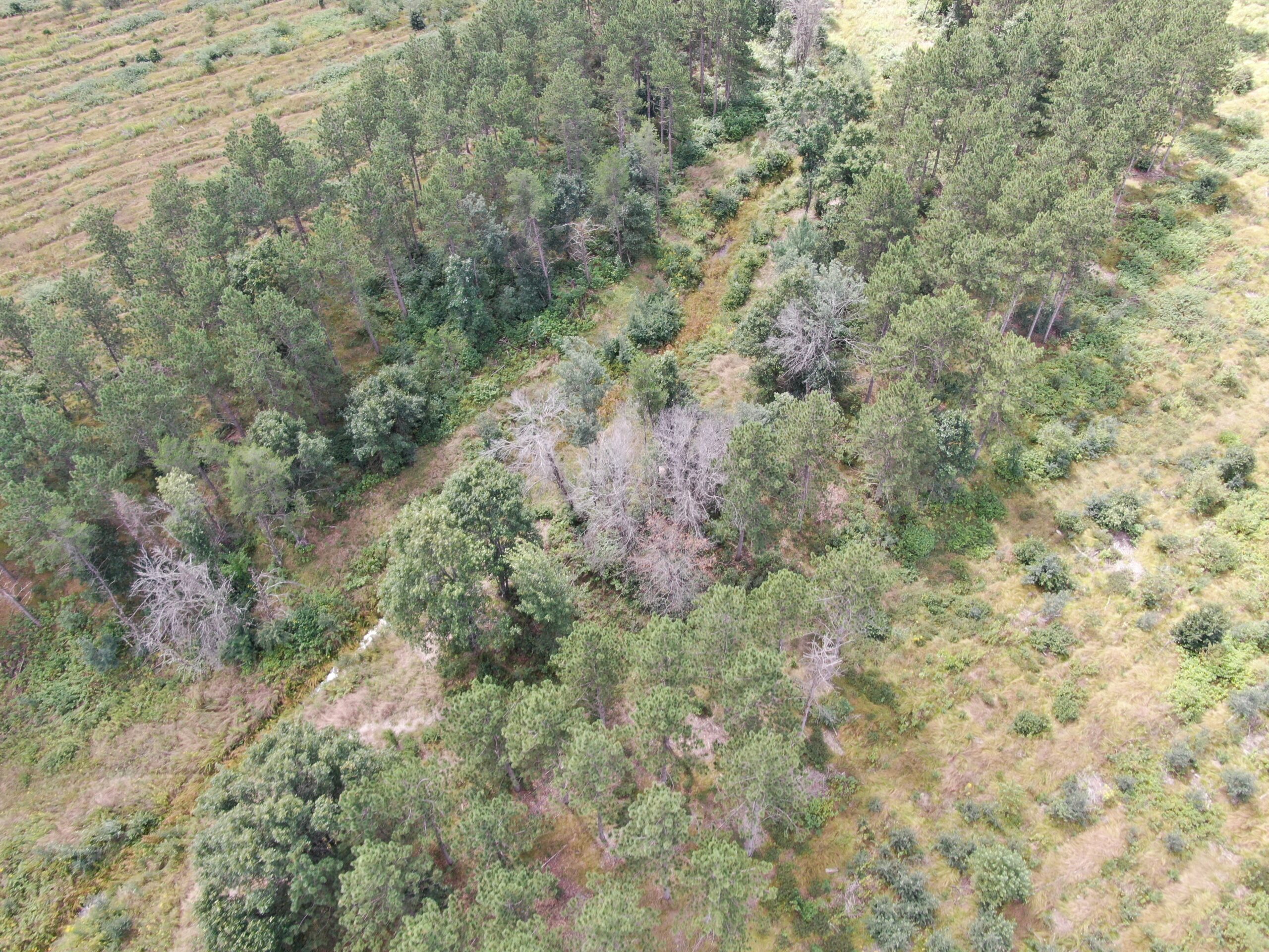 80-acre parcel in the Town of Big Flats