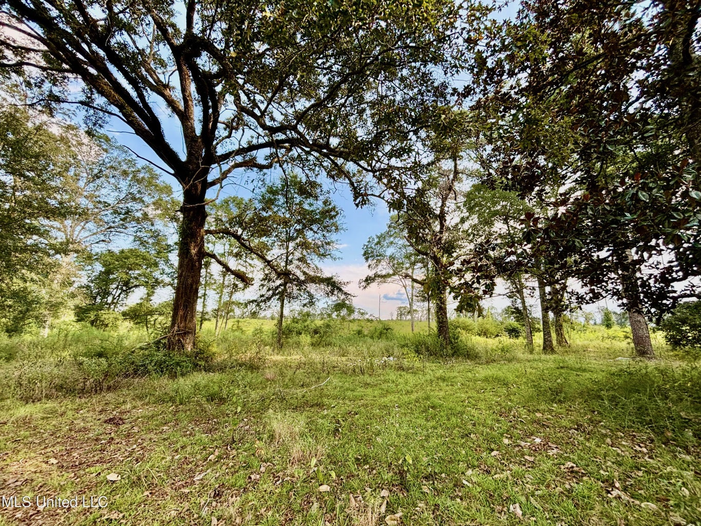 80 Acres in Walthall County