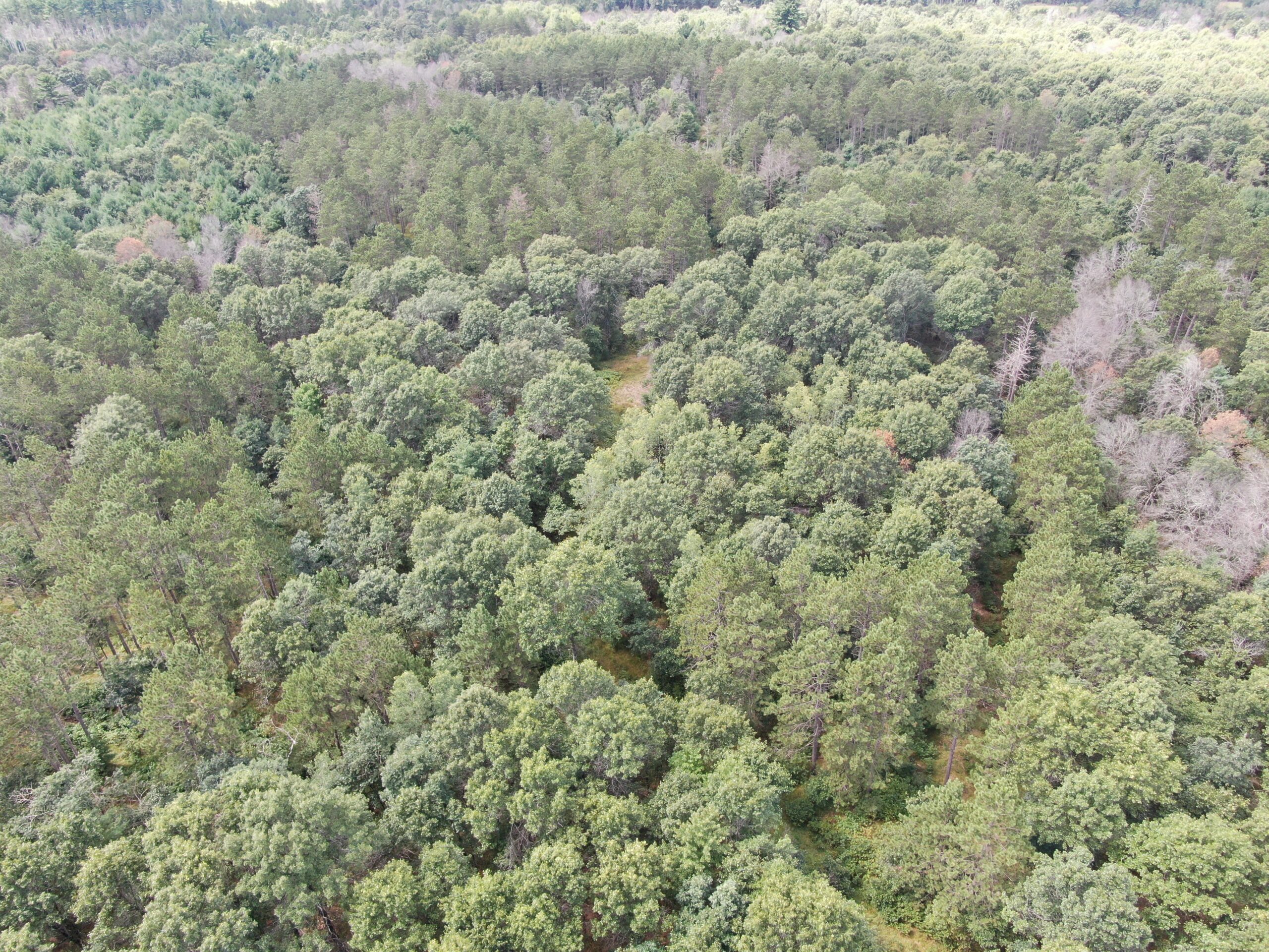 Escape to 80 acres of heavily timbered ground in Adams County