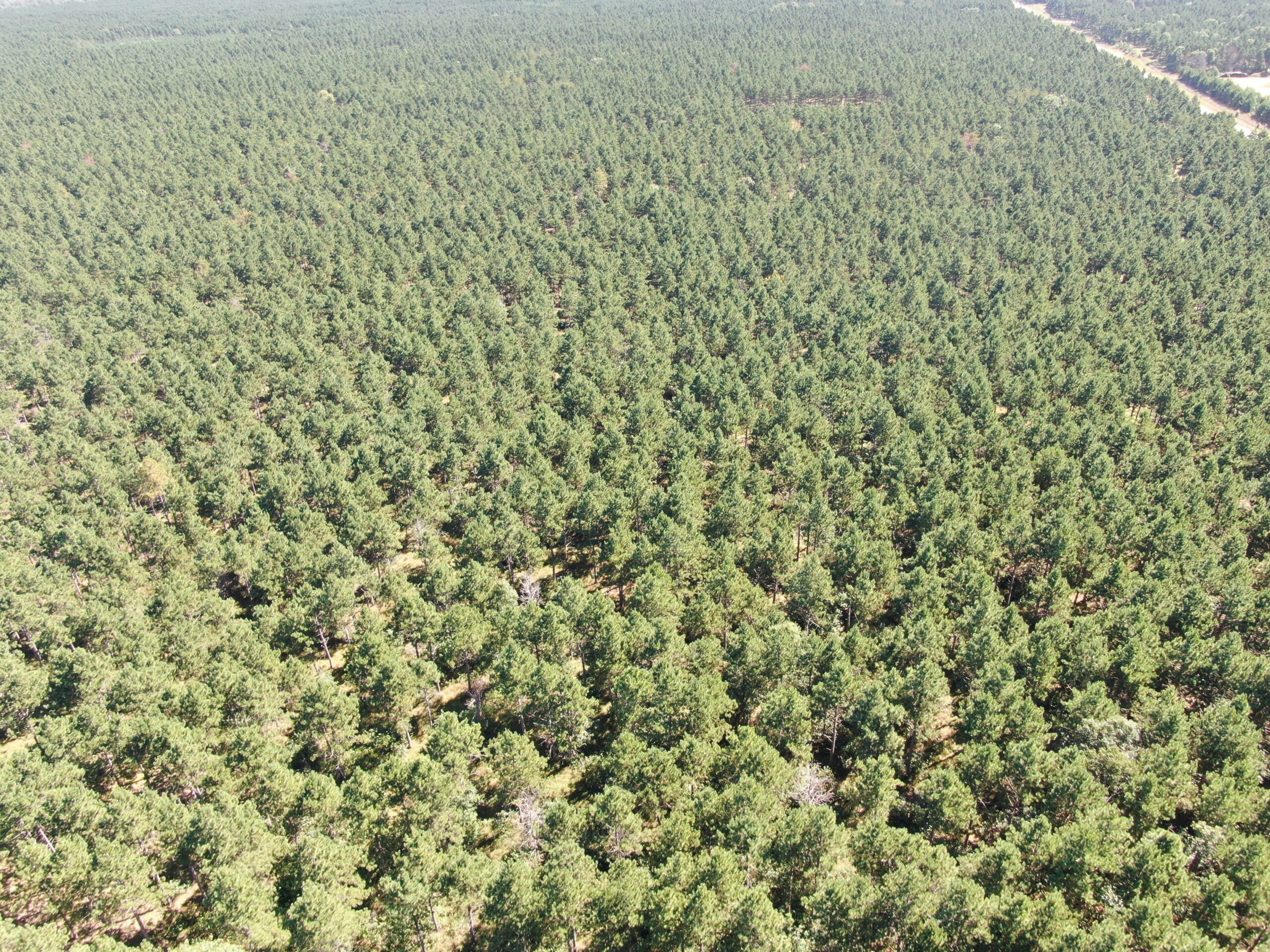 37.77-acre wooded parcel in the Town of Rome