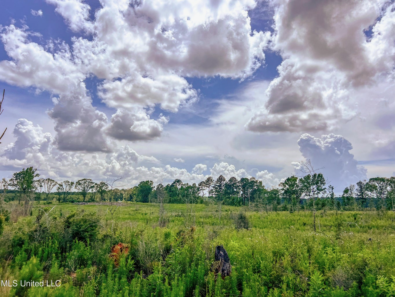 Land for Sale in Amite County, MS