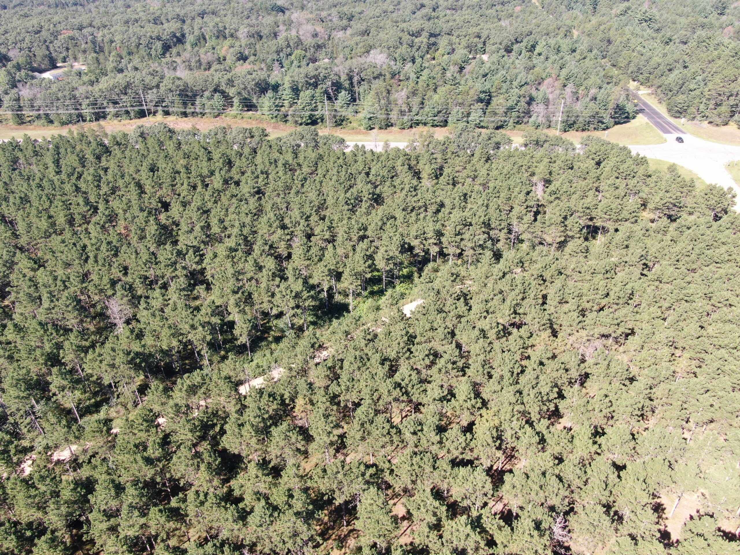 77-acre timber tract in the Town of Rome