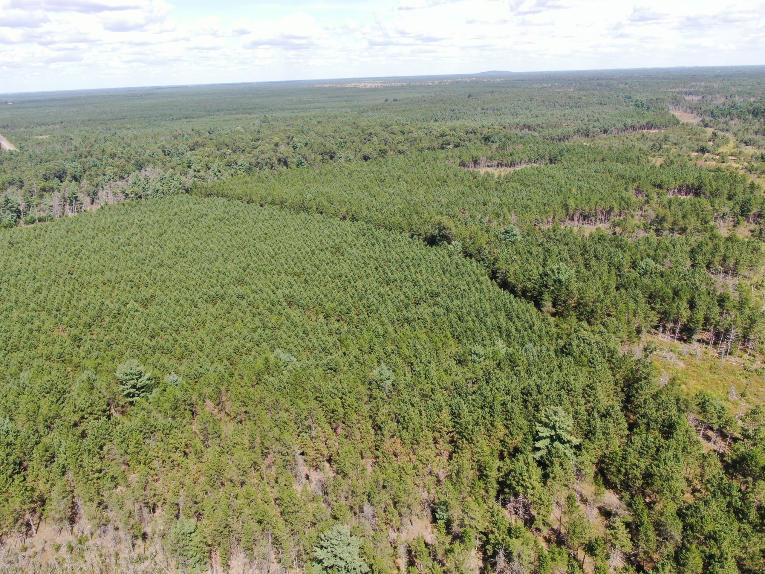 40 acres of recreational land in the Town of Monroe, Adams County