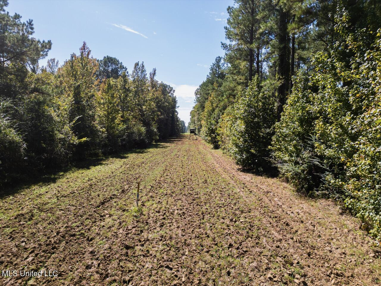 203 Acres in Smithdale MS – Turnkey Hunting Retreat