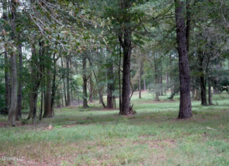 43 Acres of Beautiful Pasture with a Dream Farmhouse