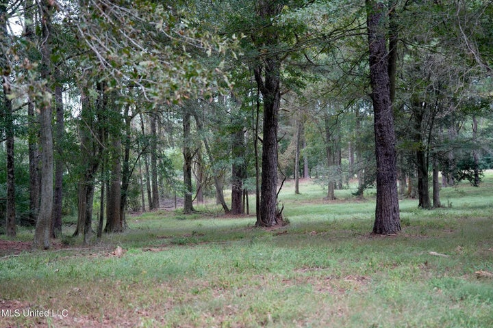 43 Acres of Beautiful Pasture with a Dream Farmhouse