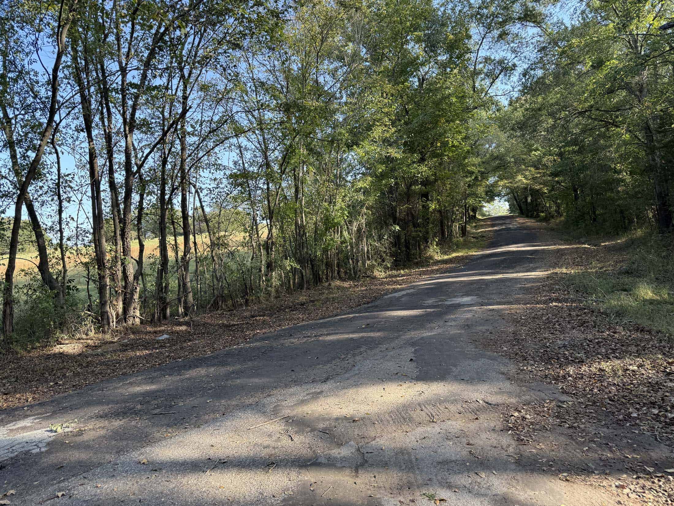 East Texas Hunting Property with Year-Round Creek in Fruitvale