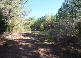 79.49 Acres Hunting and Timberland For Sale in Linden, TN