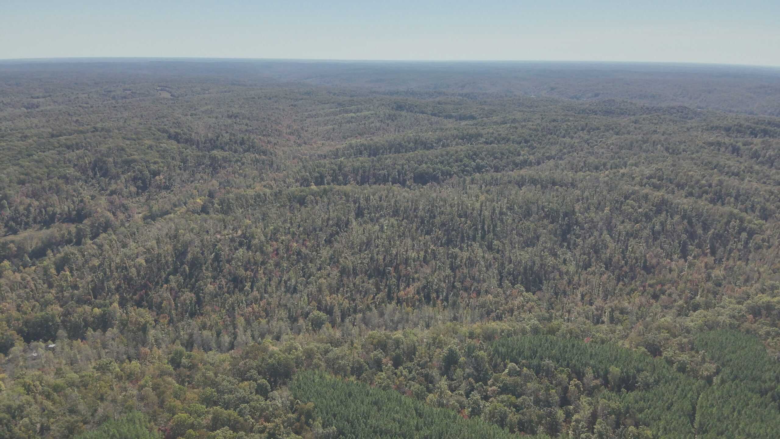 79.49 Acres Hunting and Timberland For Sale in Linden, TN