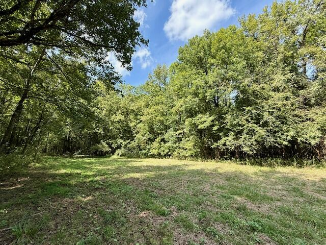 Mississippi Land For Sale With A Creek