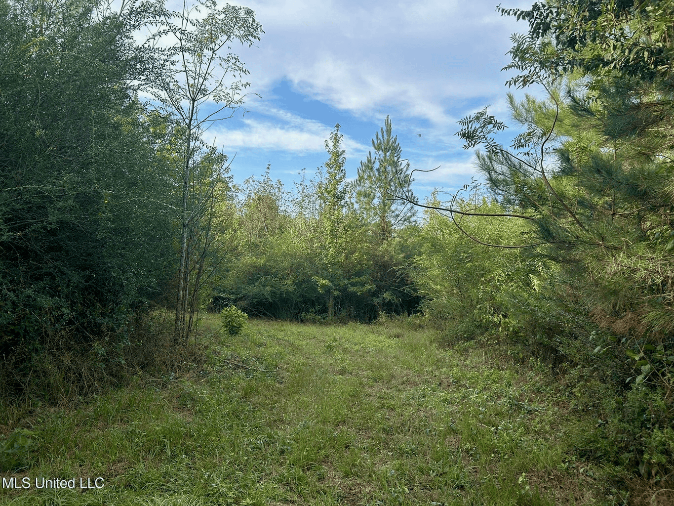 11.5+- Acres North Pike School District