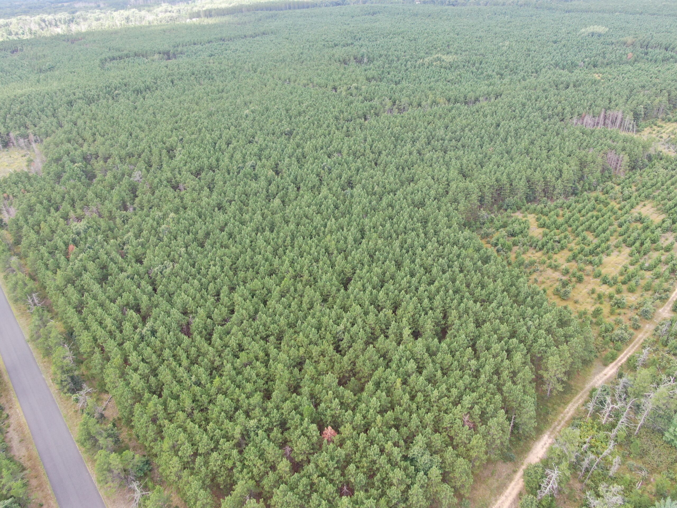 40-acre timber tract in Adams County