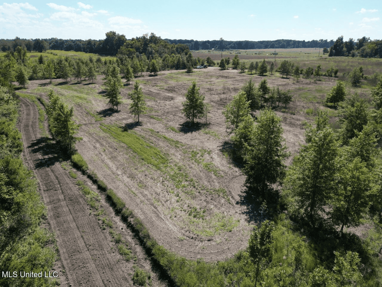 Tensas Parish Land Near Lake St. John – 80 Acres