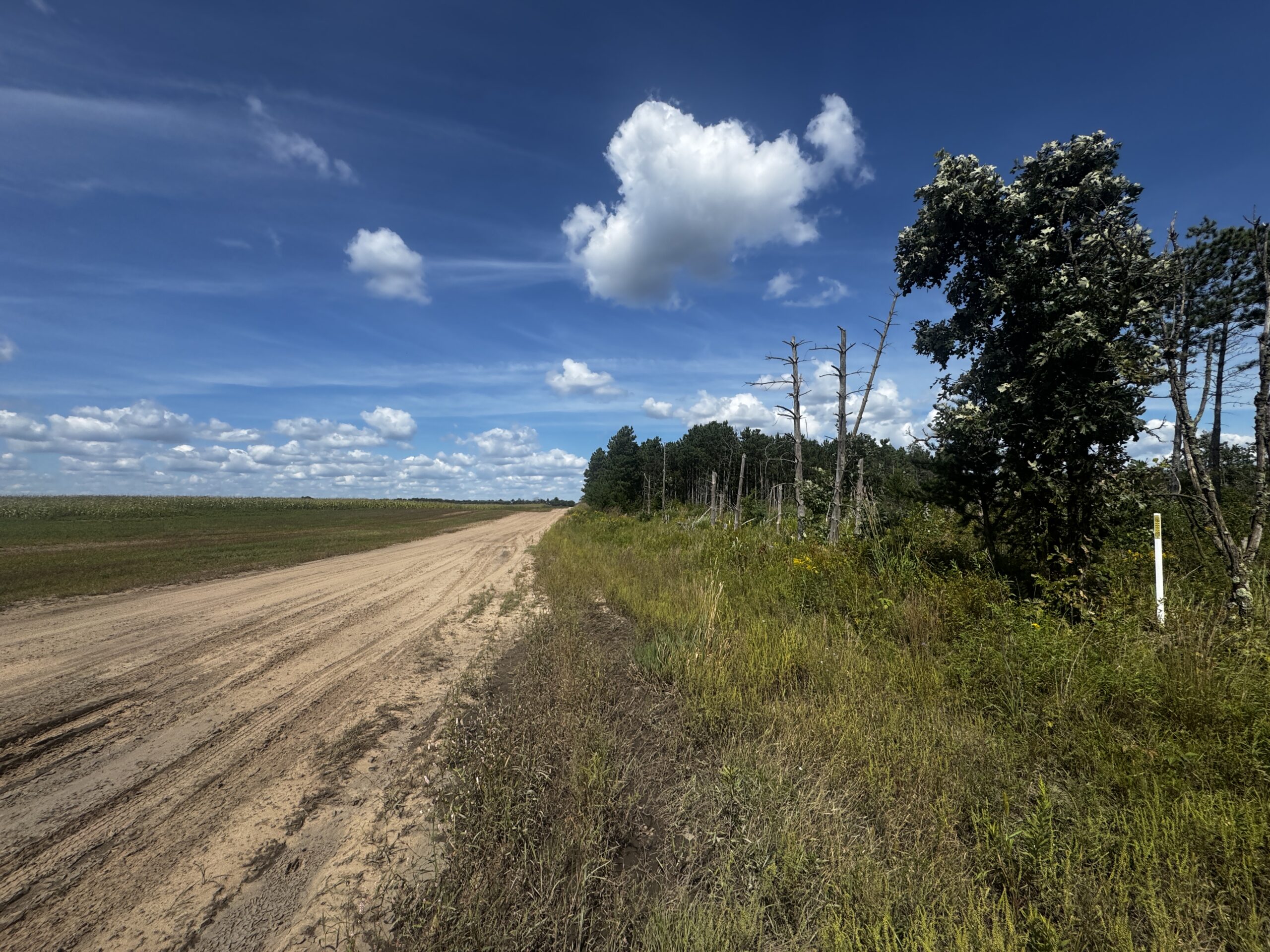 80-acre timber tract in Adams County
