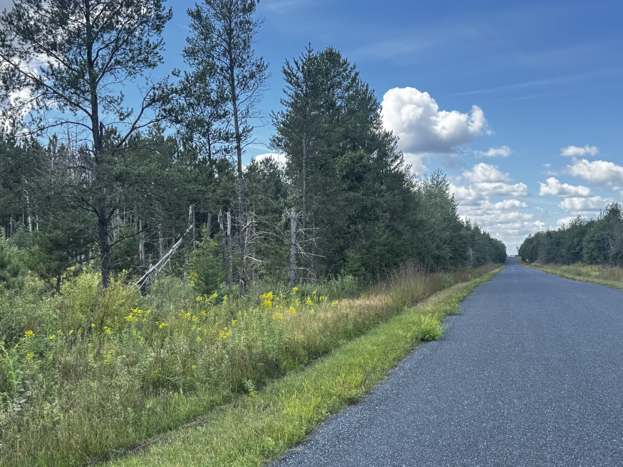 40-acre corner parcel in the Town of Monroe