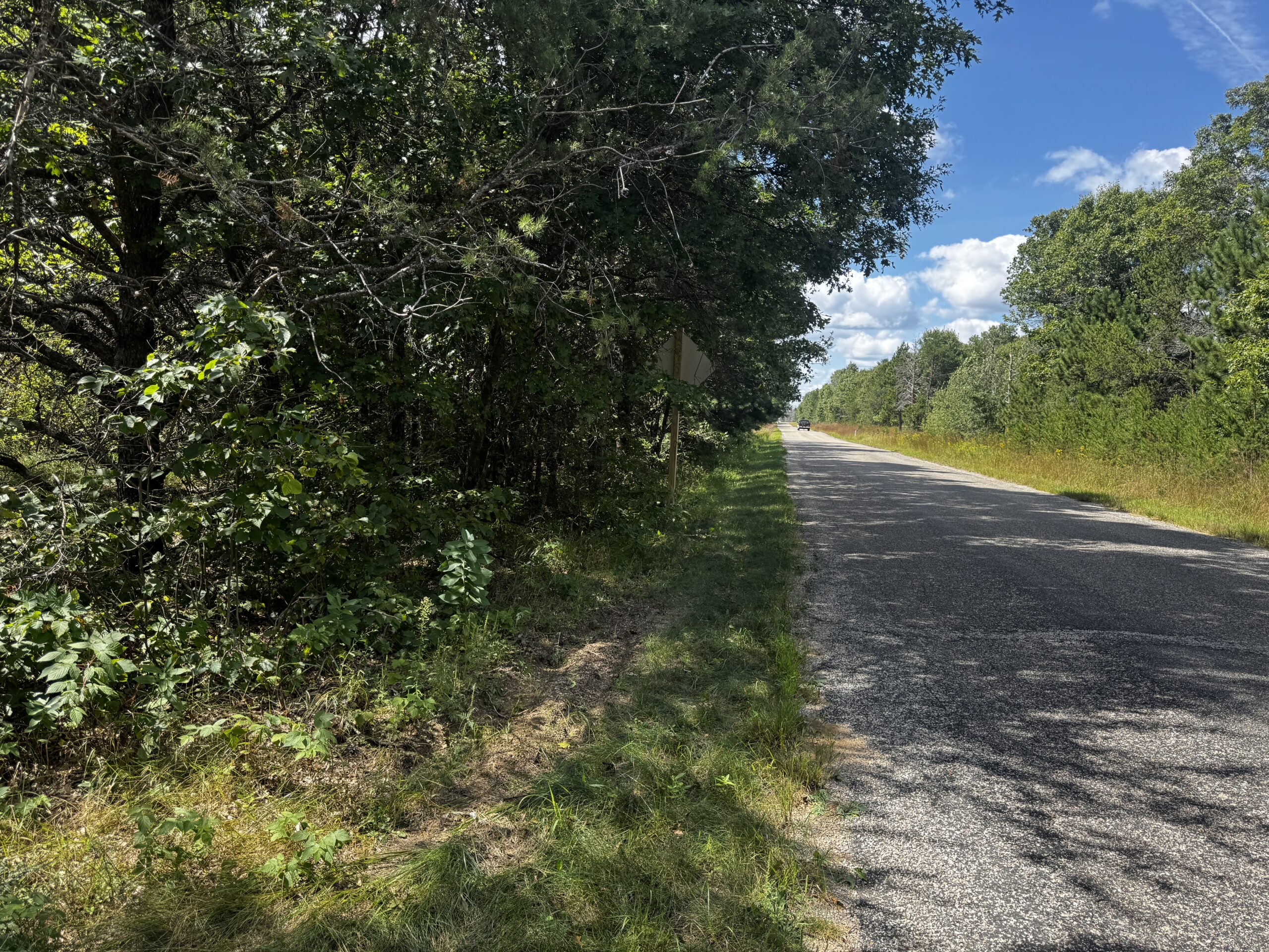 40-acre timbered tract in the Town of Big Flats