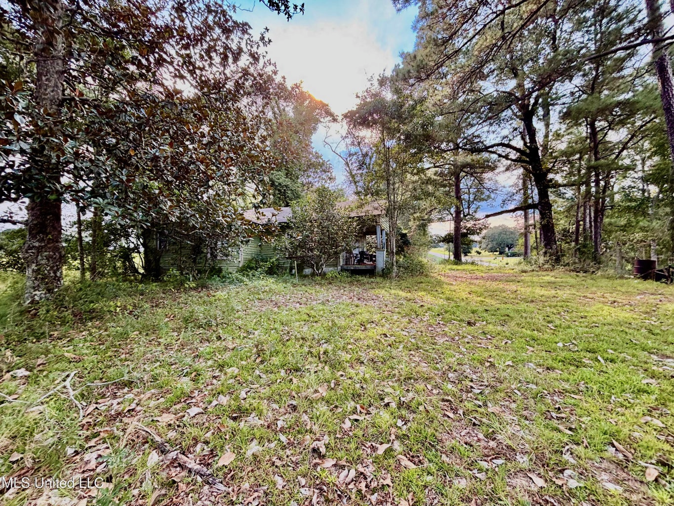 80 Acres in Walthall County