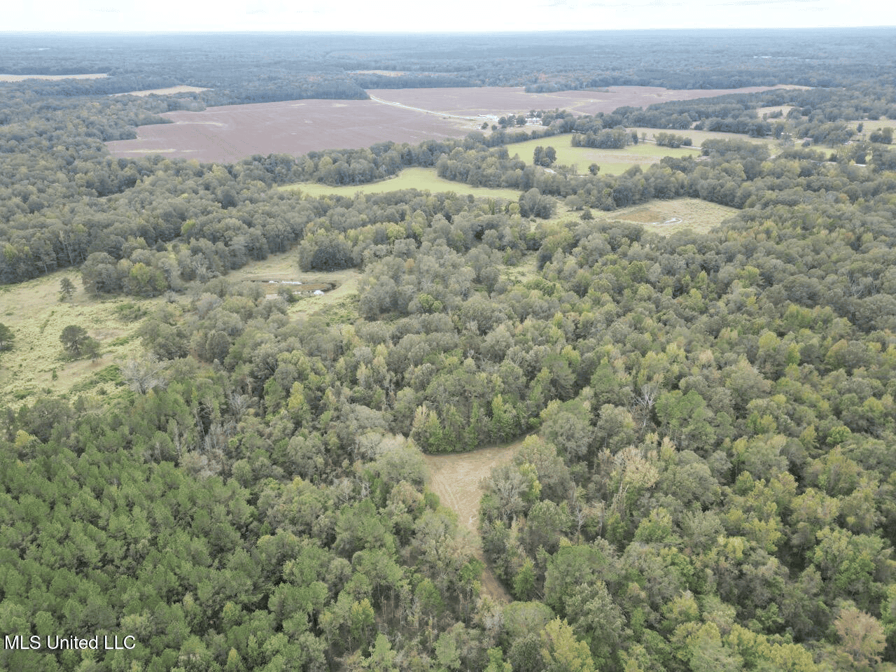 Hunting Land in Claiborne County, MS – The Sawmill 98