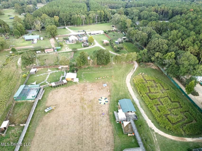 Magnolia Wilds – Premier Louisiana Investment Property for Sale