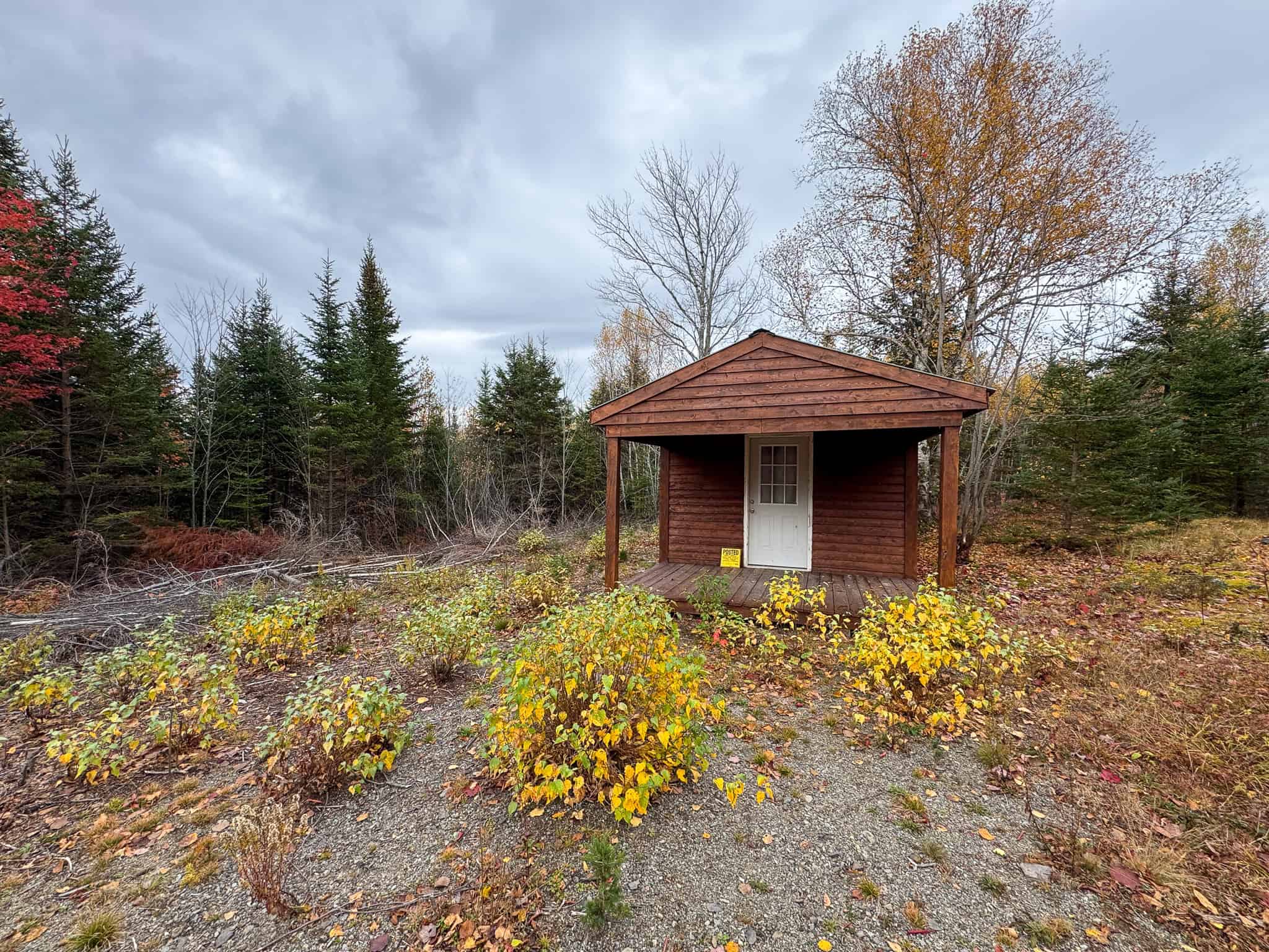 80± Acres Near the Coast – Pembroke, Maine