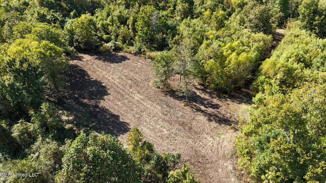 Yazoo River Hunting Tract 78.16 Acres