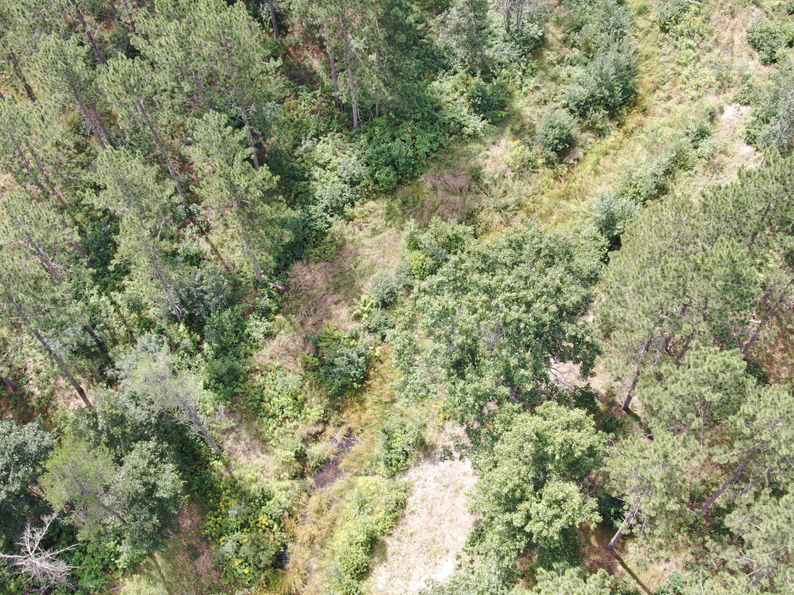 80-acre parcel in the Town of Big Flats